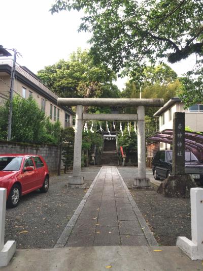 居神神社 鳥居と参道