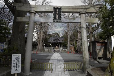 亀岡八幡宮 鳥居と拝殿