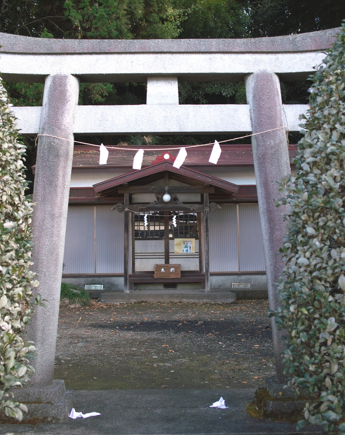 鳥居と拝殿