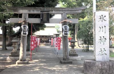相模原氷川神社 鳥居と拝殿