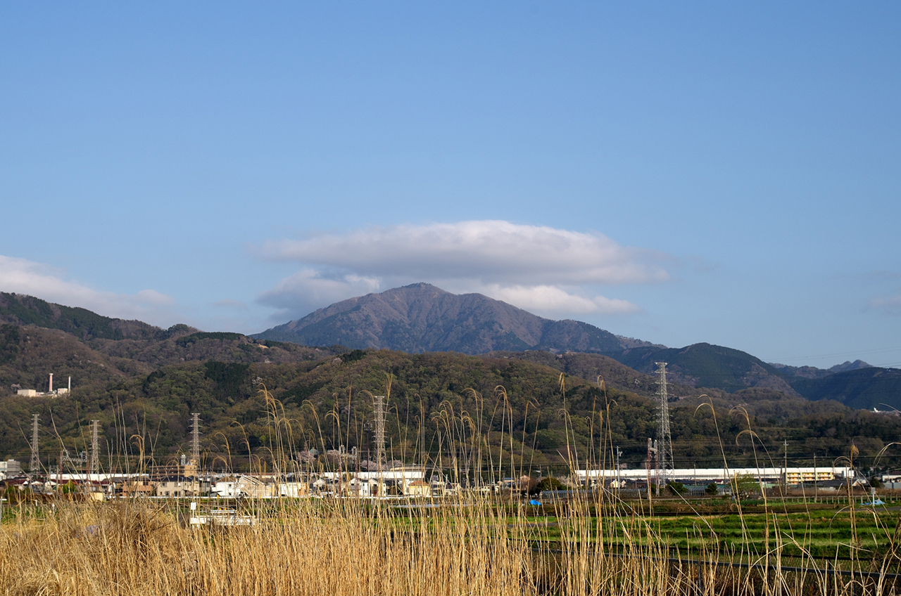大山阿夫利神社 大山(阿夫利山)