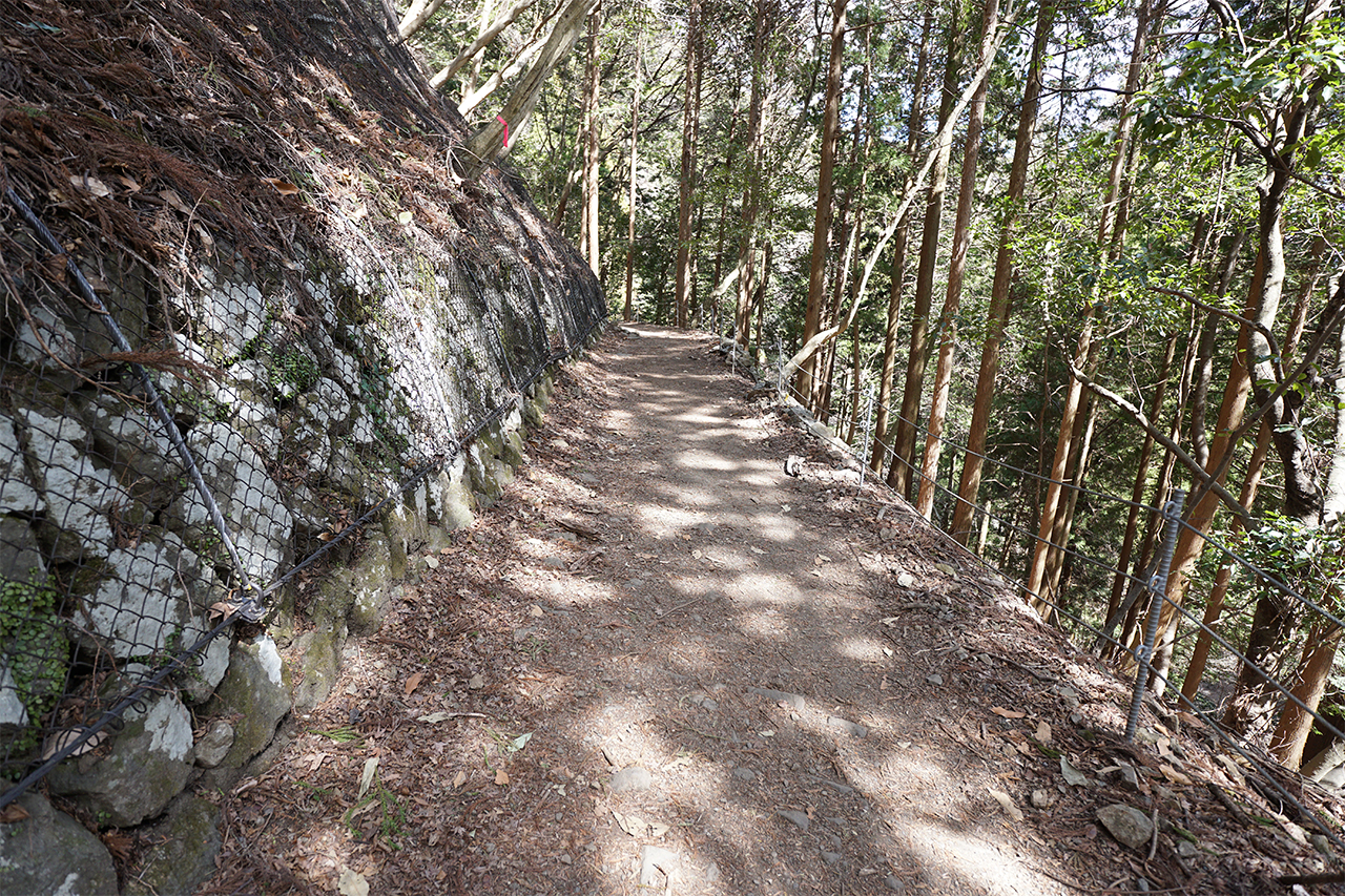 二重社コースの登山道
