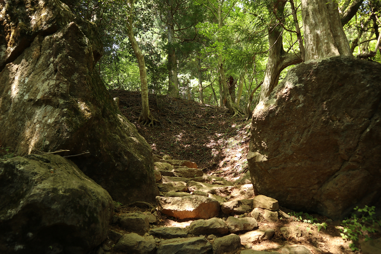 本社までの登山道