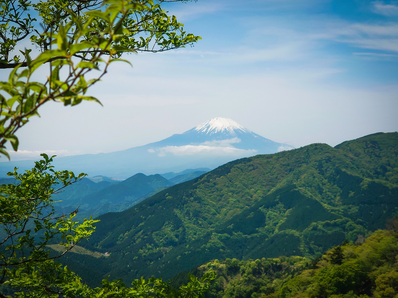 大山阿夫利神社 富士見台