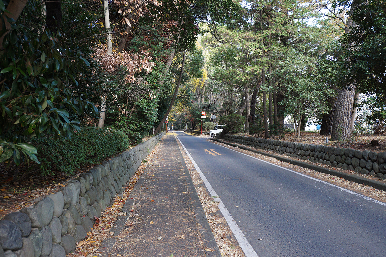 参道