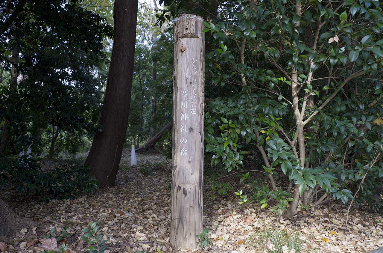 寒川神社の森 標識