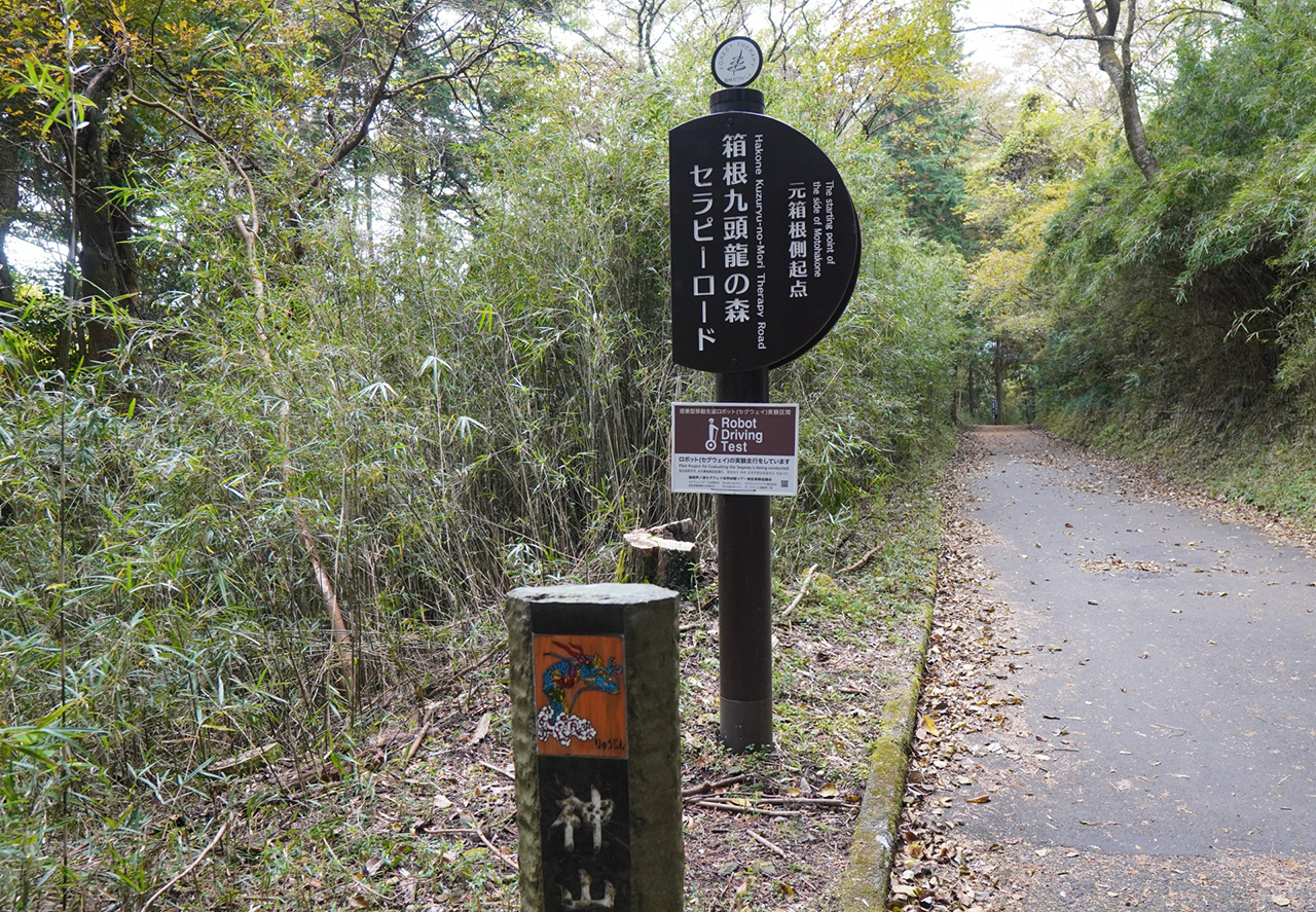 箱根九頭龍の森の道