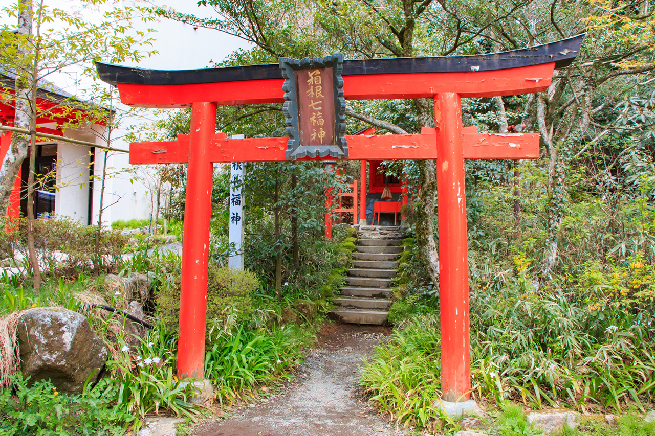箱根神社 恵比寿社 鳥居