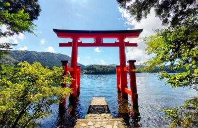 箱根神社 撮影スポットの平和の鳥居