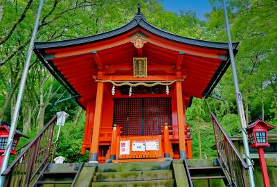 箱根神社 九頭龍神社 社殿