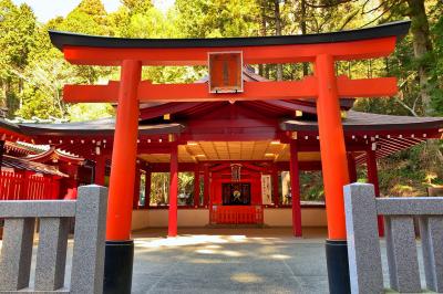 箱根神社 新宮 鳥居と社殿