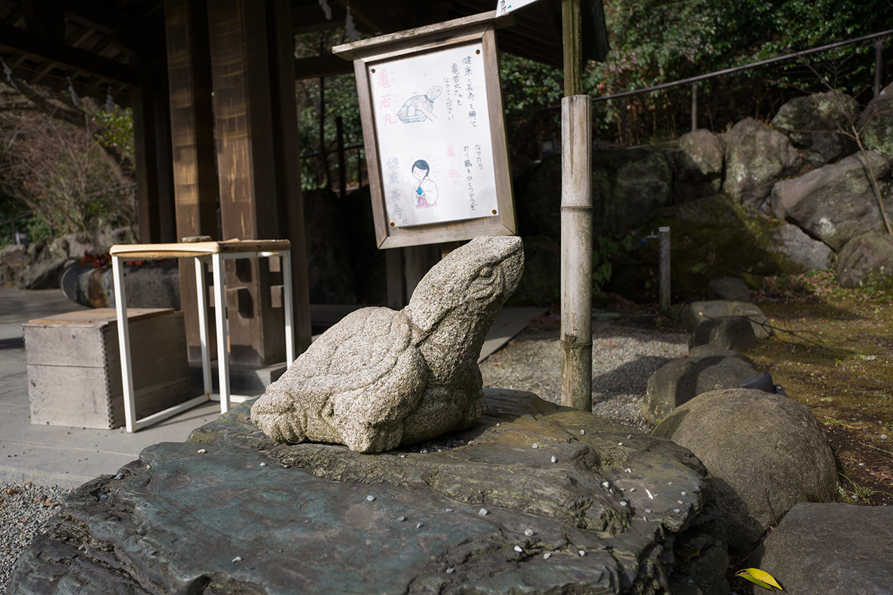 亀若丸