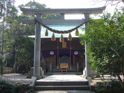 児玉神社 鳥居と拝殿