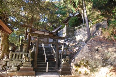 甲殿住吉神社 鳥居と境内