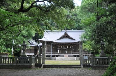 秦神社 鳥居と拝殿