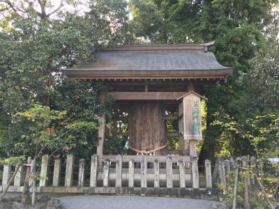 阿蘇神社 第一神陵の神杉