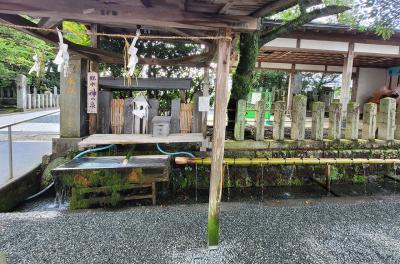 阿蘇神社 神の泉