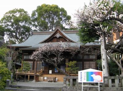 熊本大神宮 拝殿