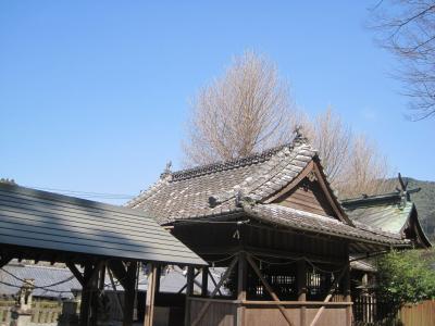 若宮神社 社殿