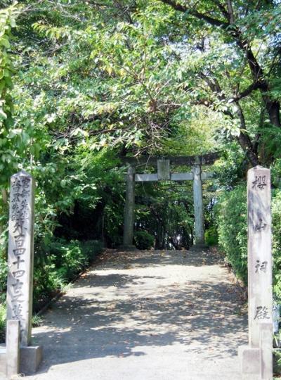 桜山神社 鳥居