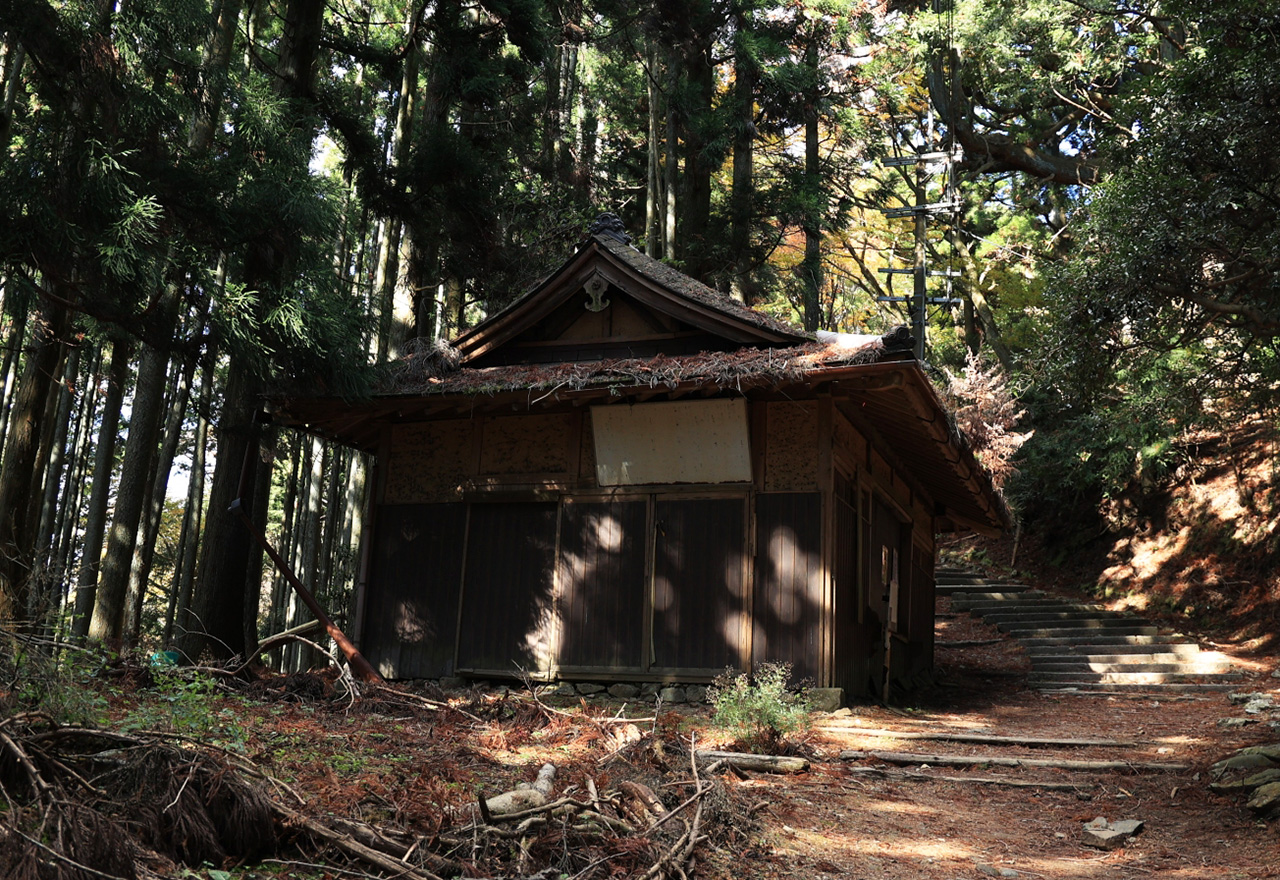 ハナ売場