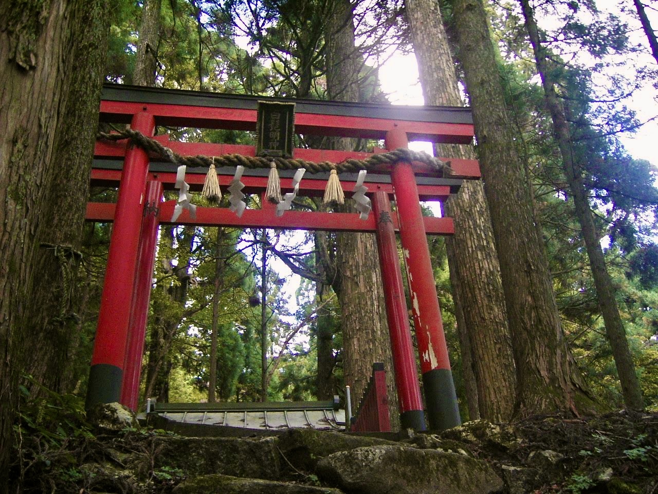 白髭明神の鳥居