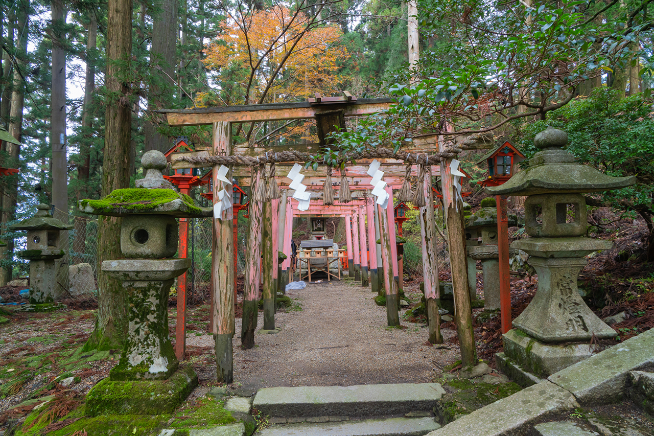 稲荷社 鳥居と社殿