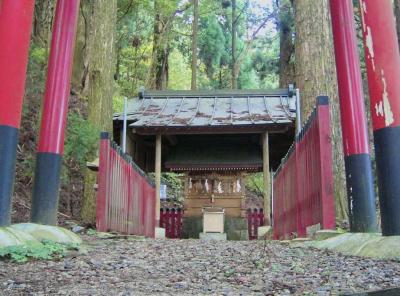 愛宕神社 白波社、白髭社、修羅髭社の合殿社殿