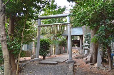 阿刀神社 鳥居と拝殿