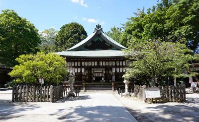 白峯神宮 左近の桜と右近の橘