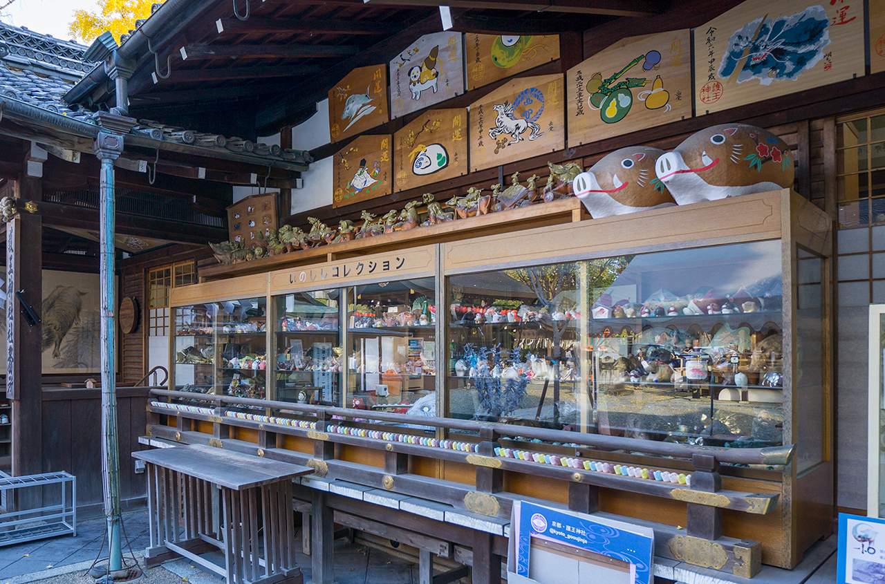 いのししコレクション