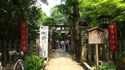 白雲神社 鳥居