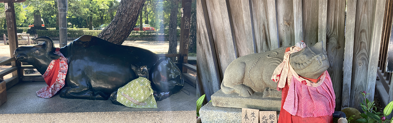 北野天満宮内の牛の像3