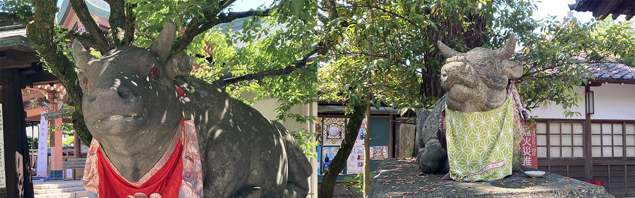 北野天満宮内の牛の像4