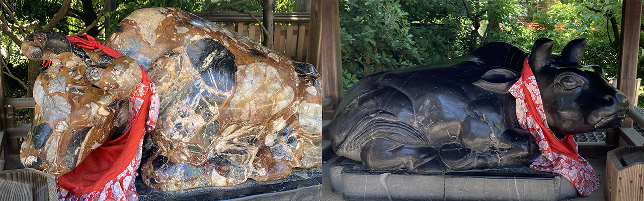 なで牛 | 北野天満宮 - 神社ファン