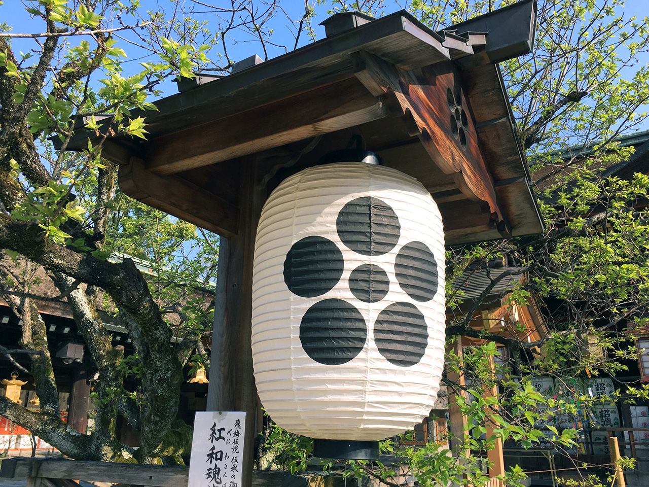 星梅鉢紋の提燈