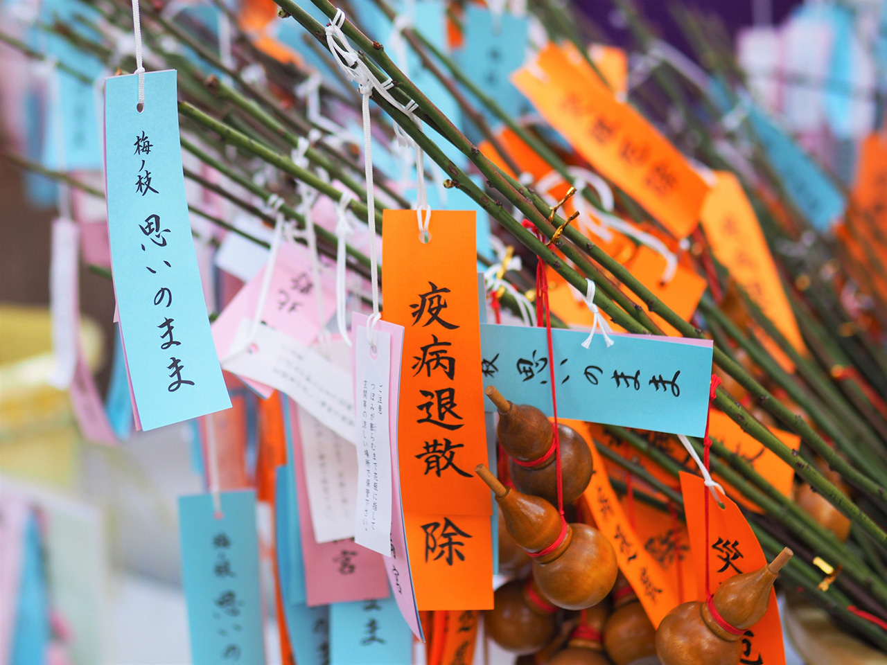招福の梅の枝「思いのまま」