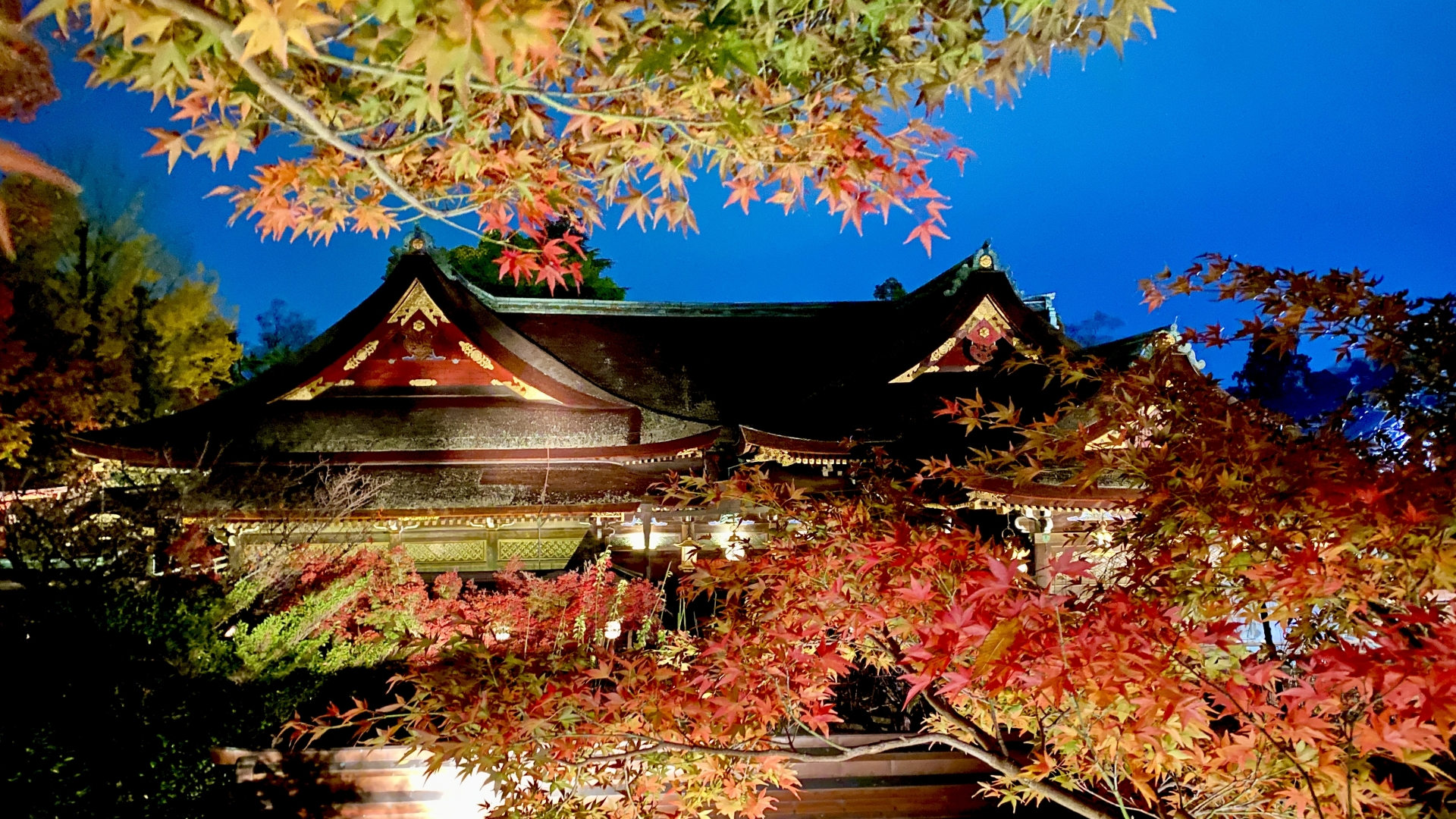 紅葉と社殿