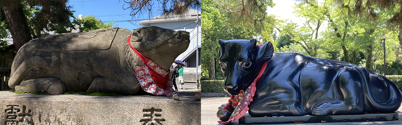 北野天満宮内の牛の像