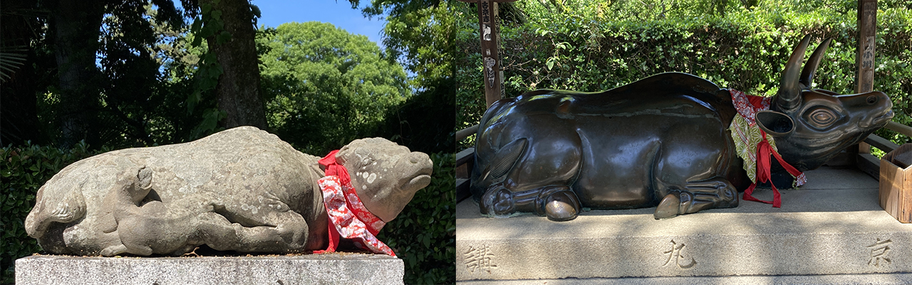 なで牛 | 北野天満宮 - 神社ファン