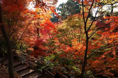 北野天満宮 もみじ苑