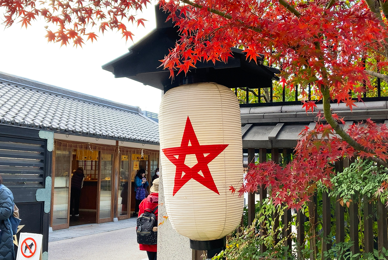 京都晴明神社 晴明桔梗の神紋入り提灯