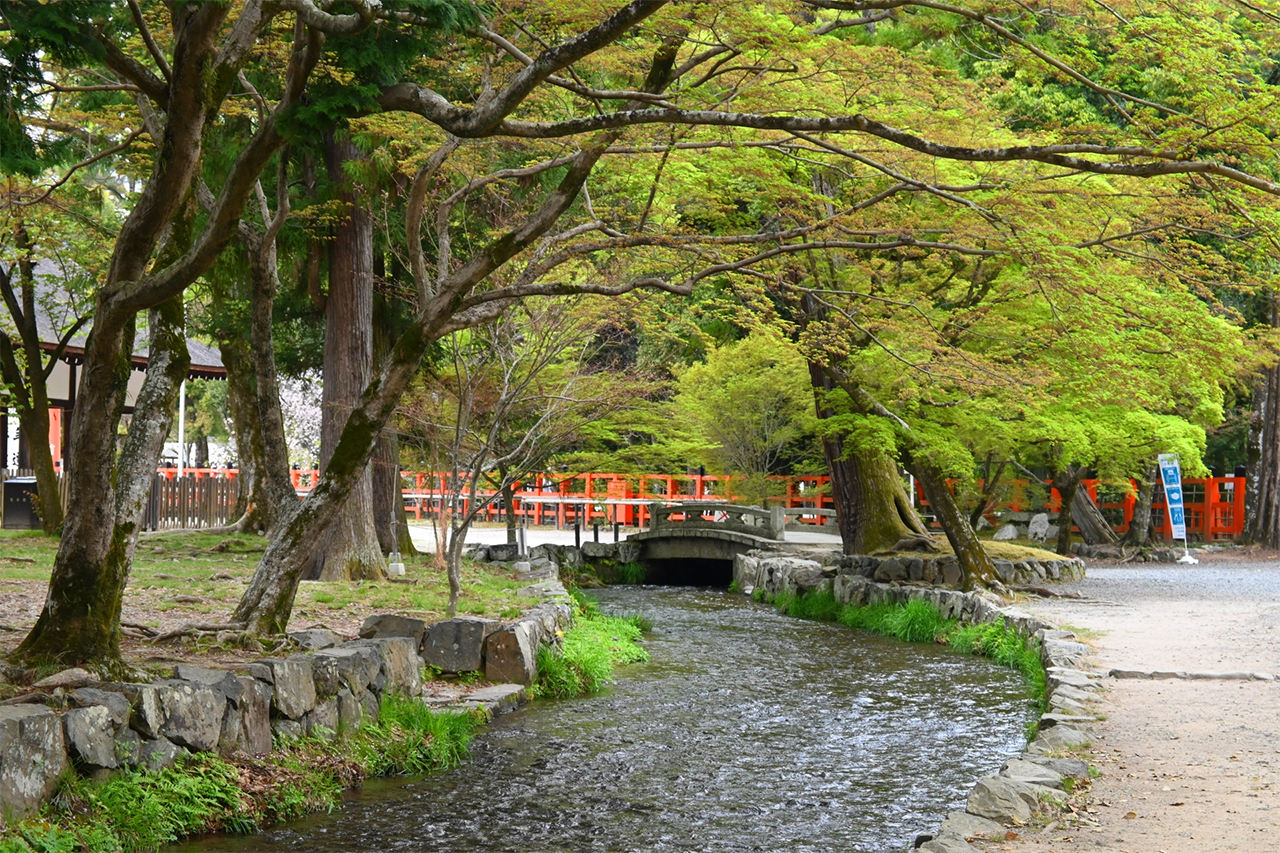 ならの小川
