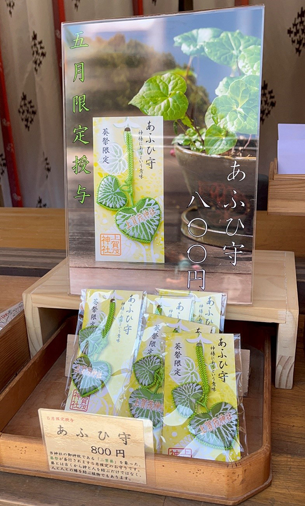 あふひ守