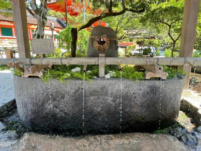 上賀茂神社(賀茂別雷神社) 神山湧水の手水舎