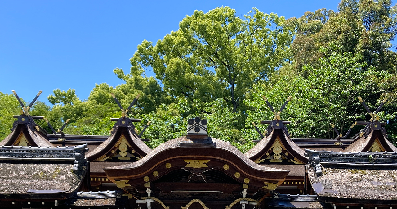 比翼春日造