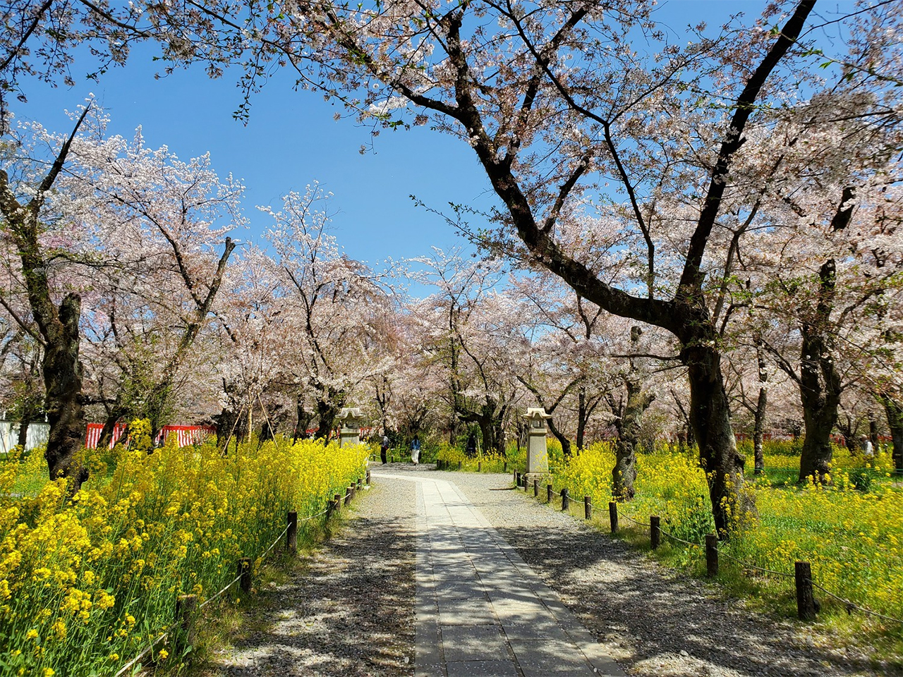 桜苑