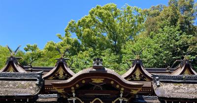 平野神社 比翼春日造