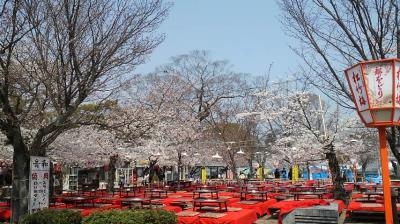 平野神社 平野祭