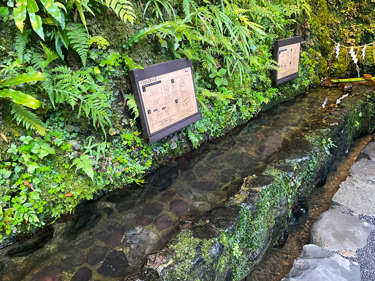 水占斎庭